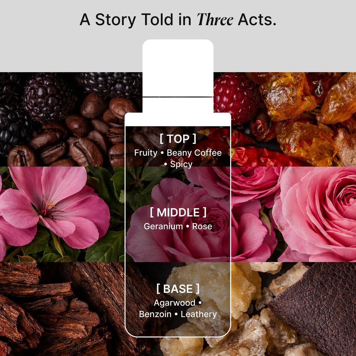 Ombre Man A Luxury Perfume-100ml image 2