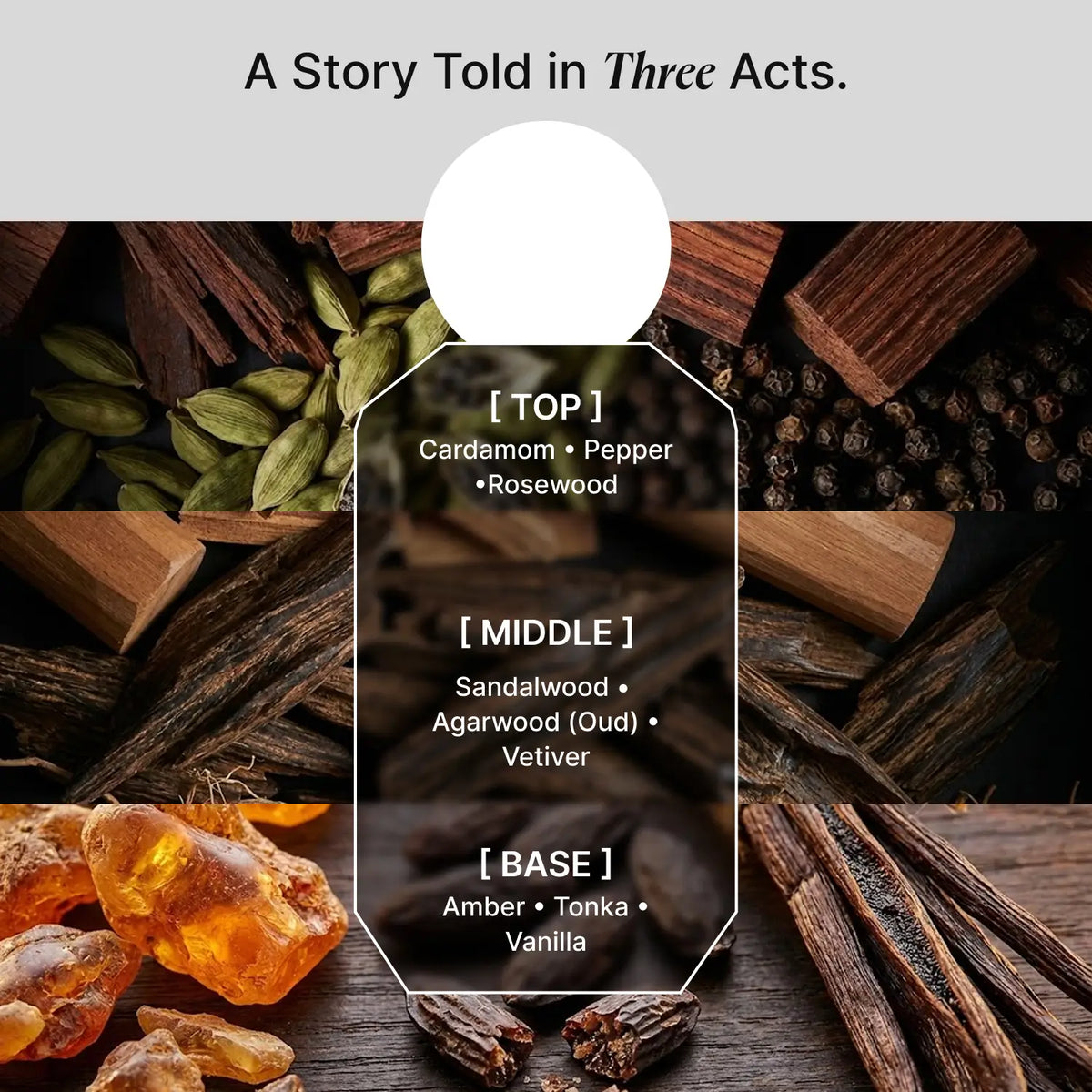 TF Unisex-100ml image 2