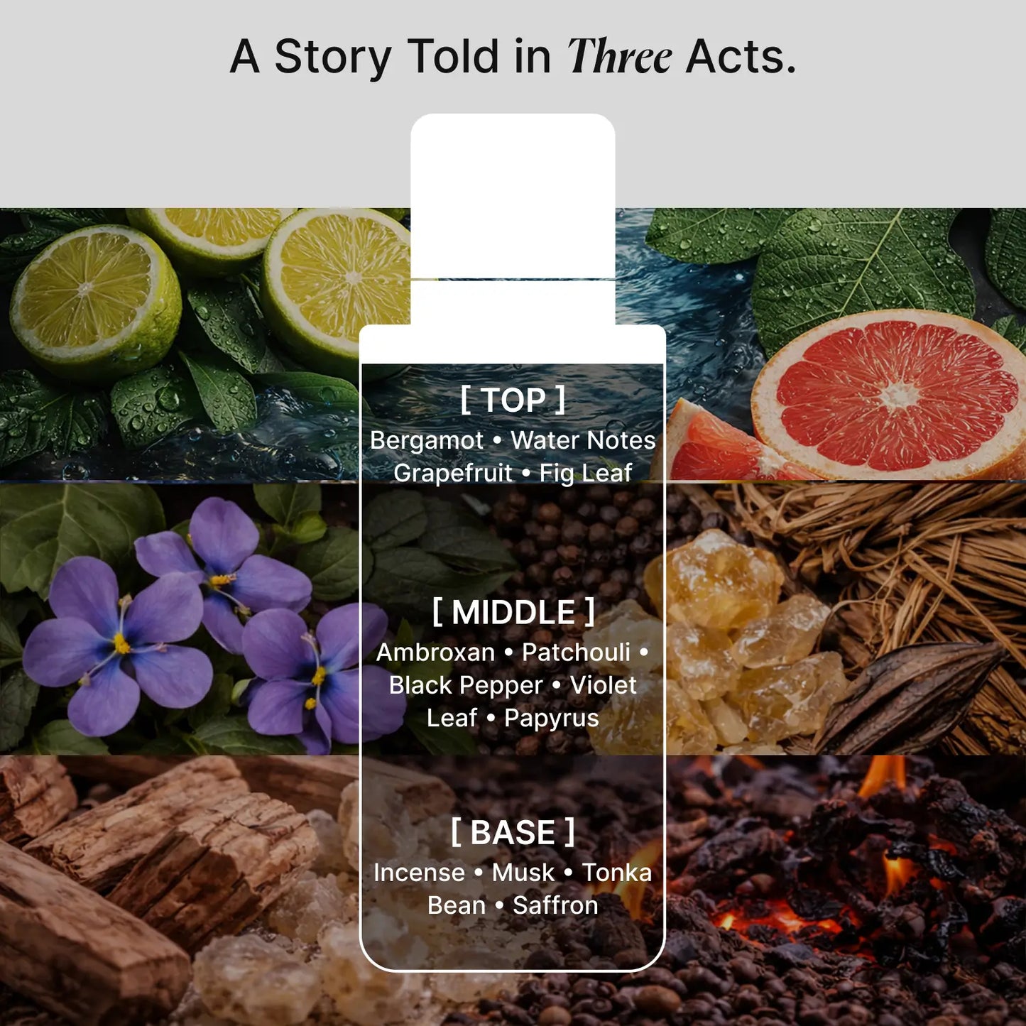 Blue Ocean A Luxury Perfume-100ml